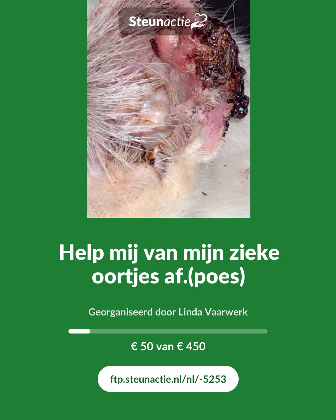 Voorbeeld van de afbeelding