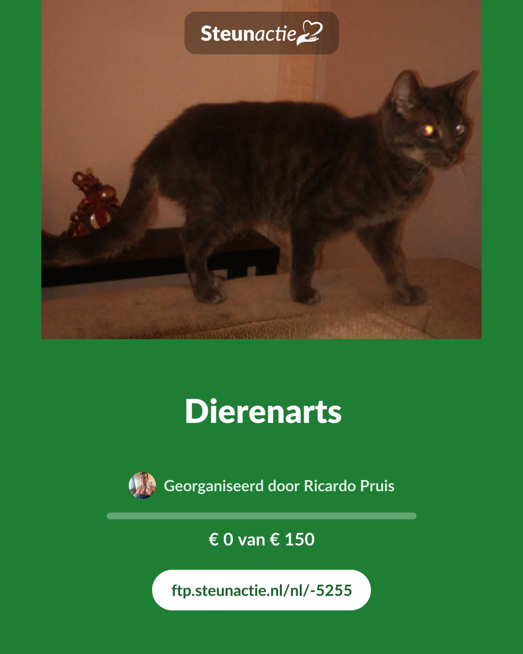 Voorbeeld van de afbeelding
