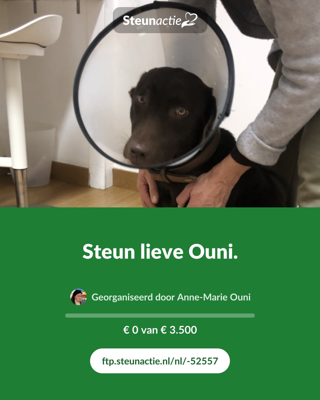 Voorbeeld van de afbeelding