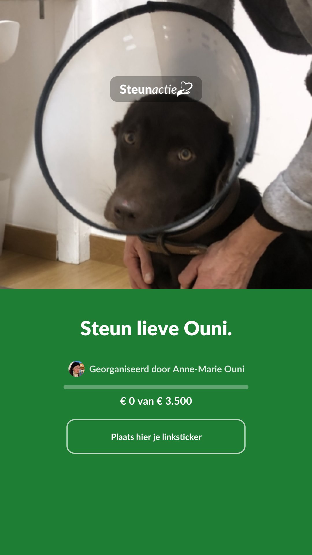 Voorbeeld van de afbeelding
