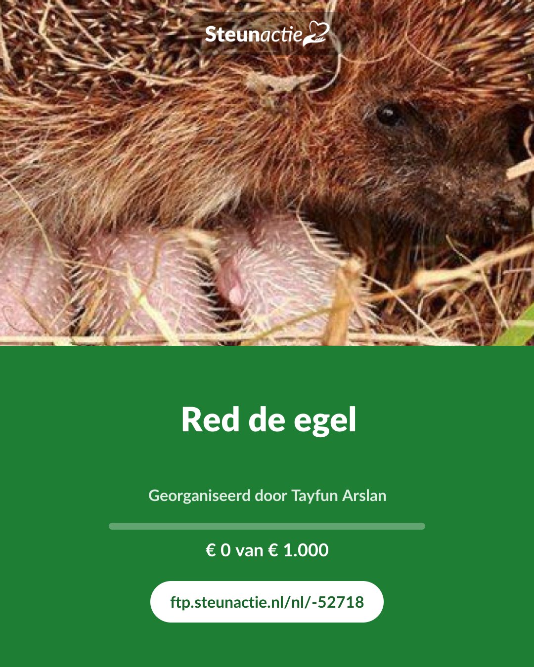 Voorbeeld van de afbeelding