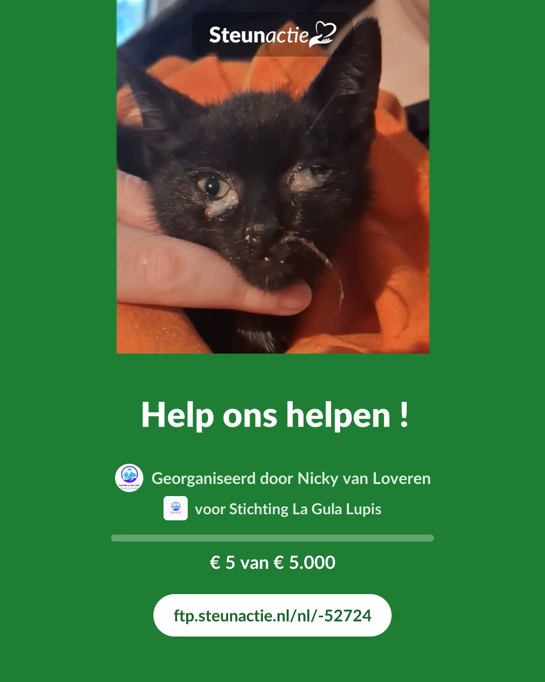 Voorbeeld van de afbeelding