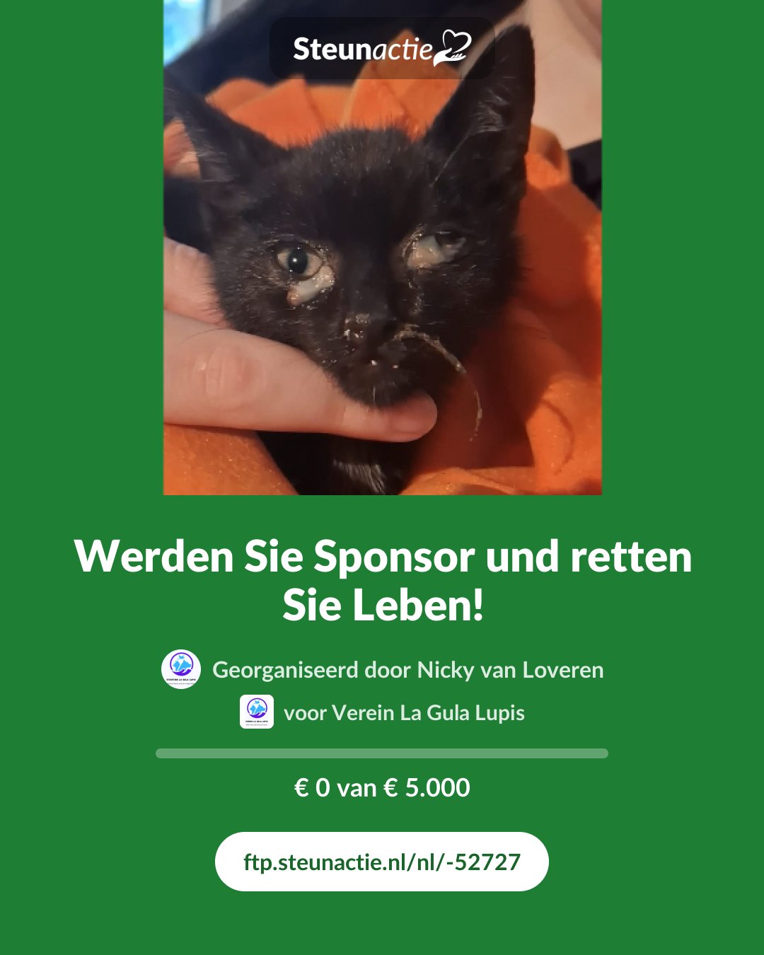 Voorbeeld van de afbeelding