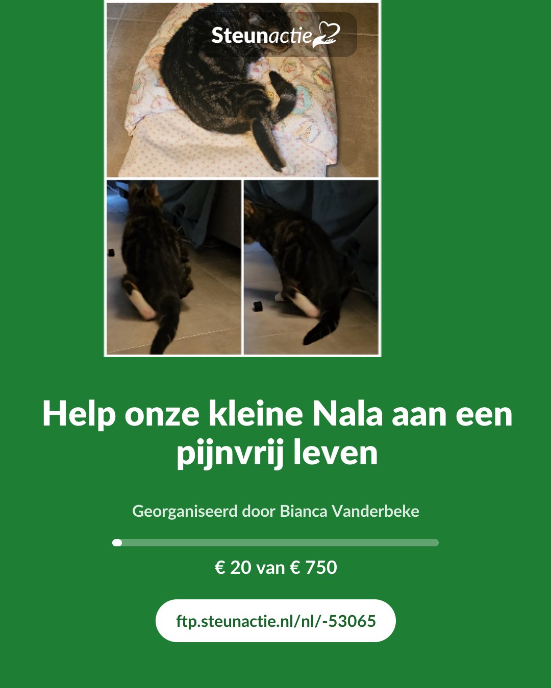Voorbeeld van de afbeelding
