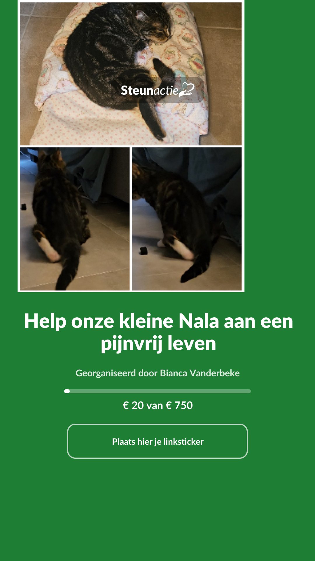 Voorbeeld van de afbeelding