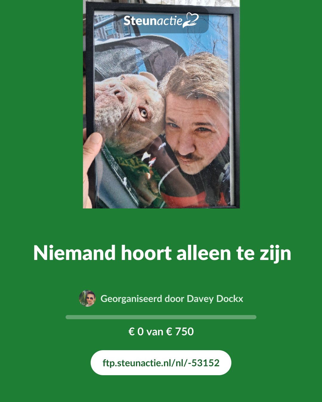 Voorbeeld van de afbeelding
