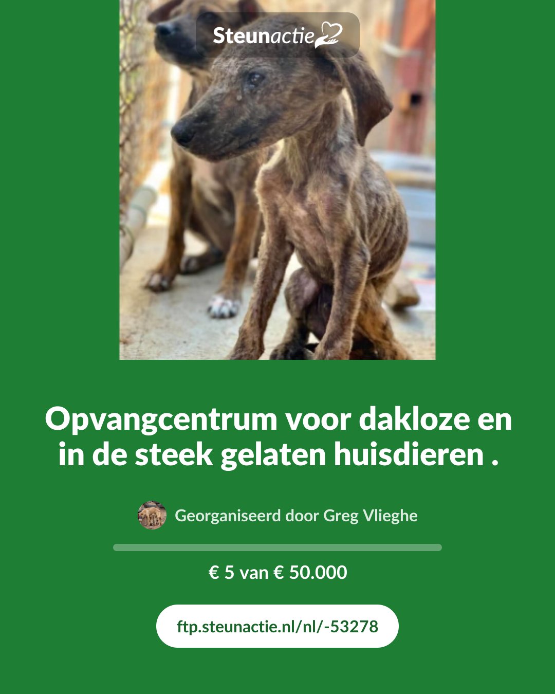 Voorbeeld van de afbeelding