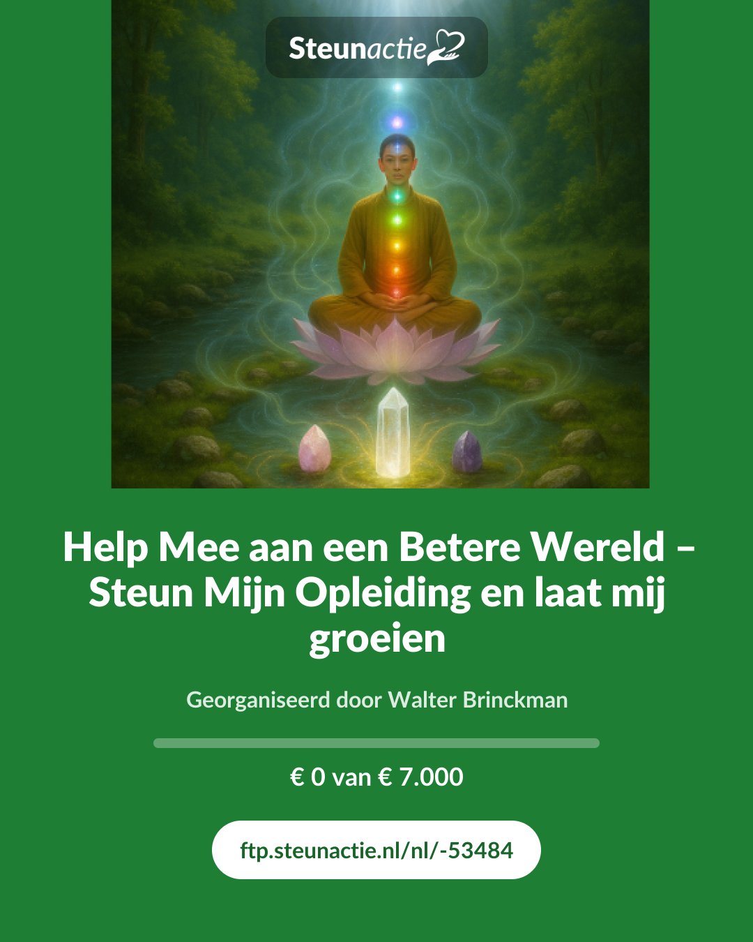 Voorbeeld van de afbeelding