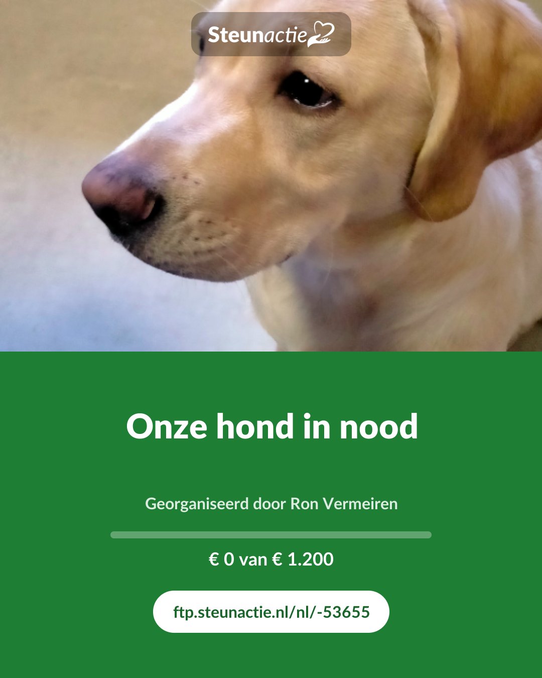 Voorbeeld van de afbeelding