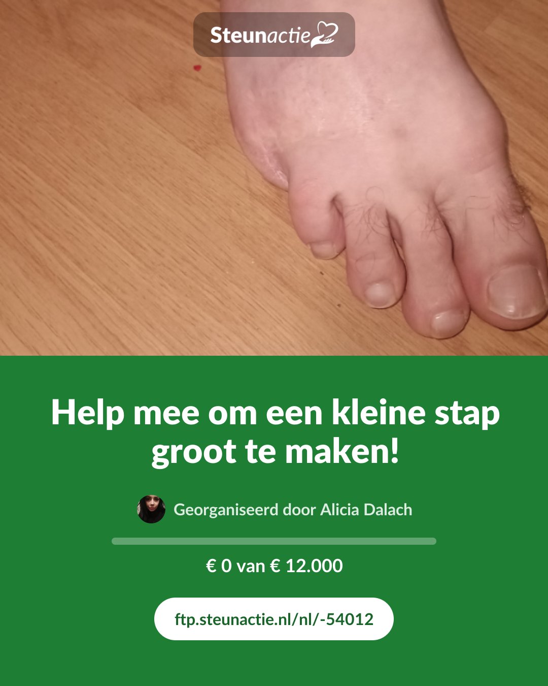 Voorbeeld van de afbeelding