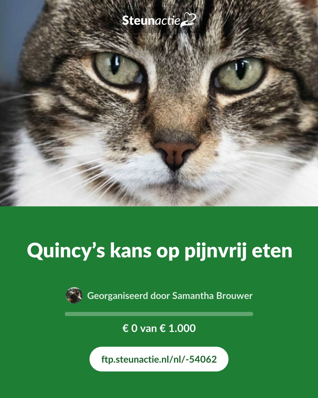 Voorbeeld van de afbeelding