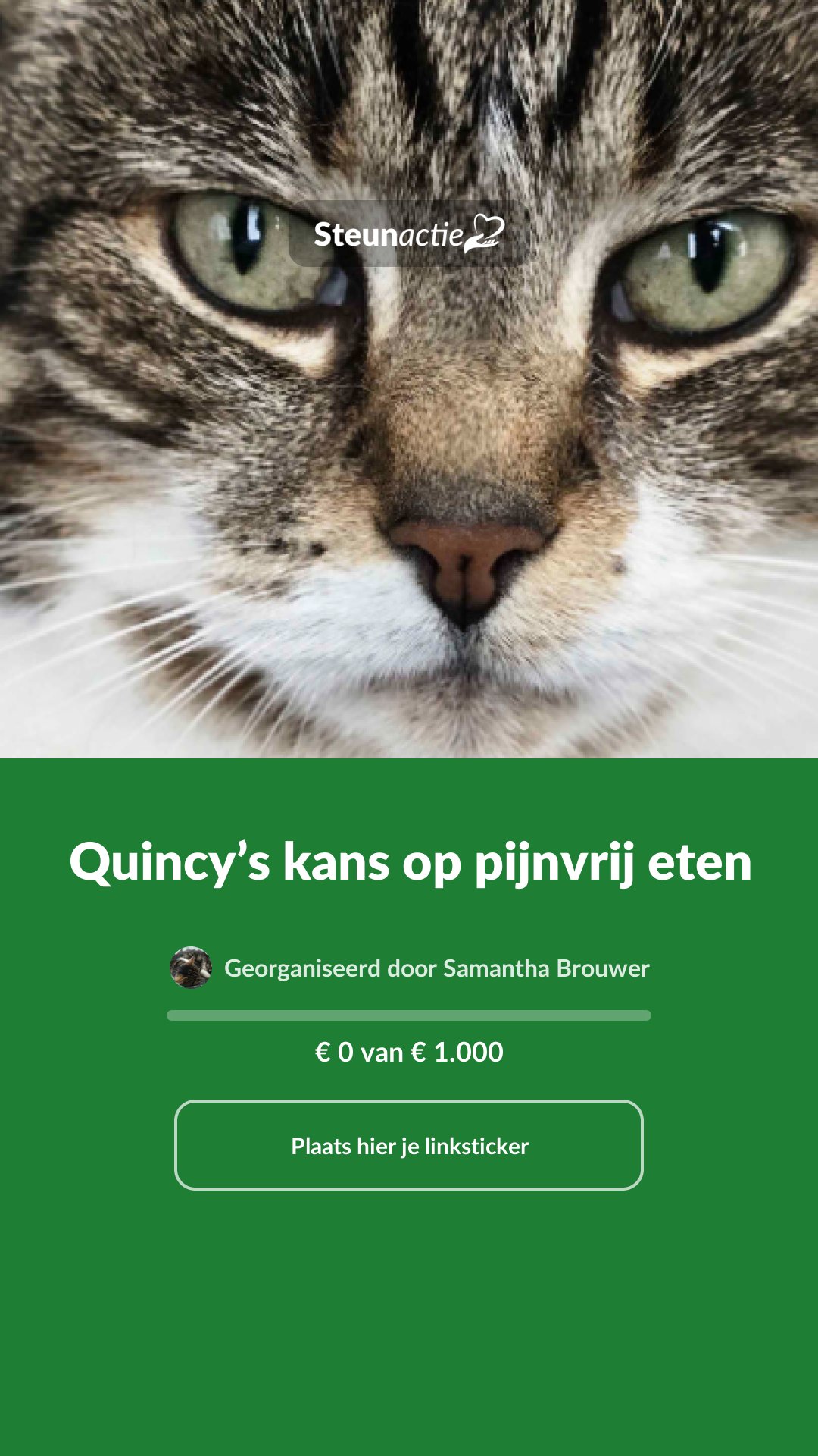 Voorbeeld van de afbeelding