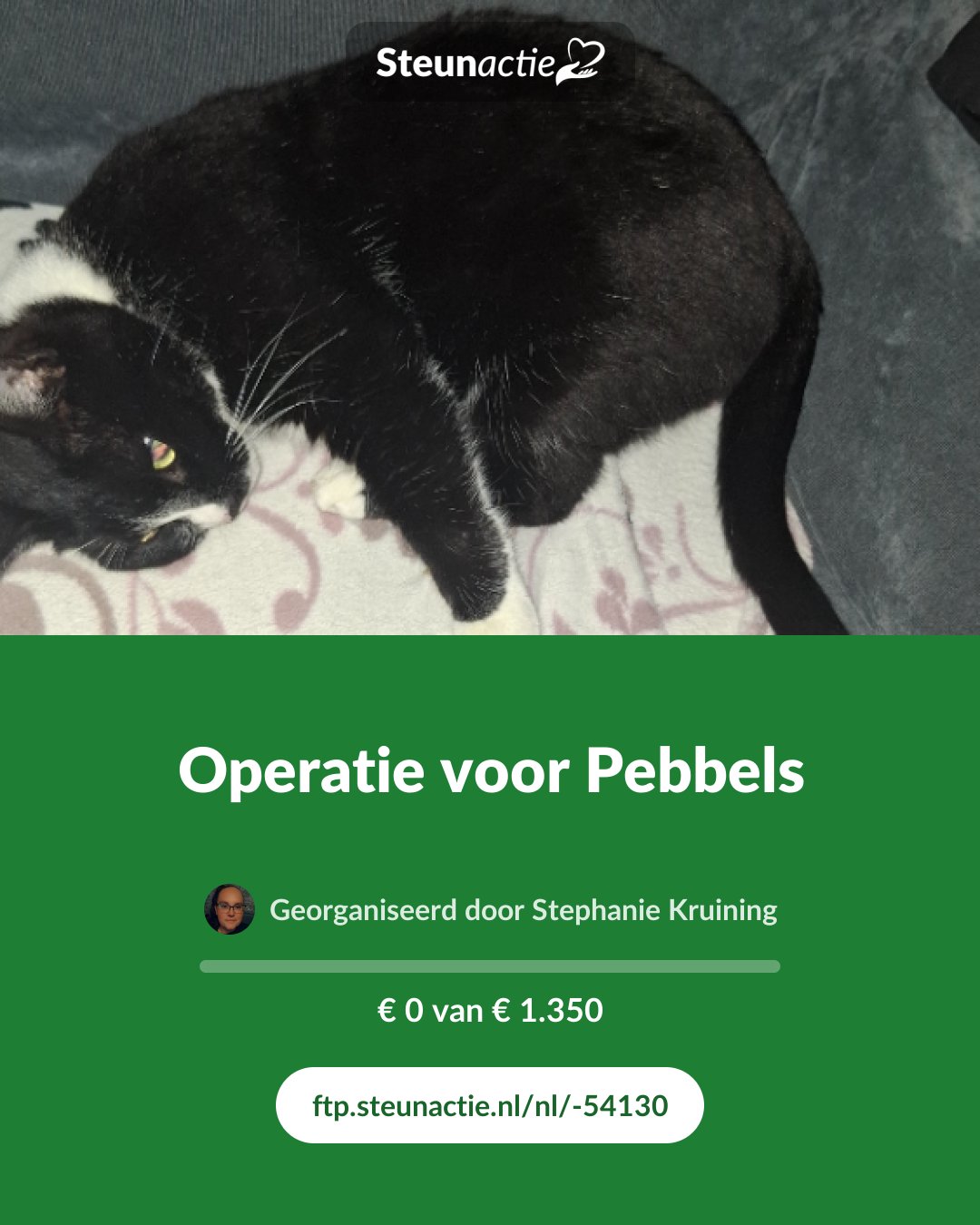 Voorbeeld van de afbeelding