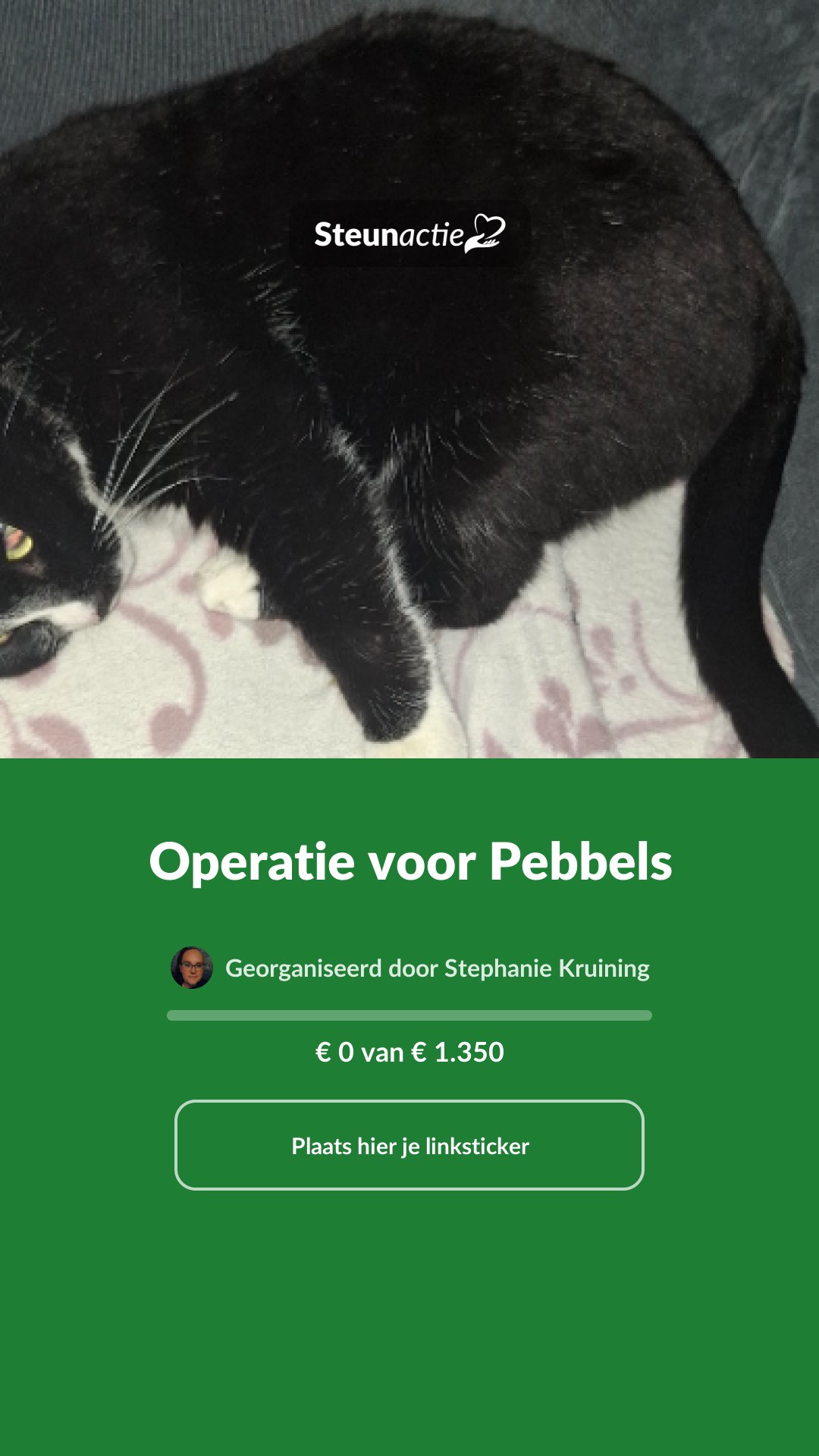 Voorbeeld van de afbeelding