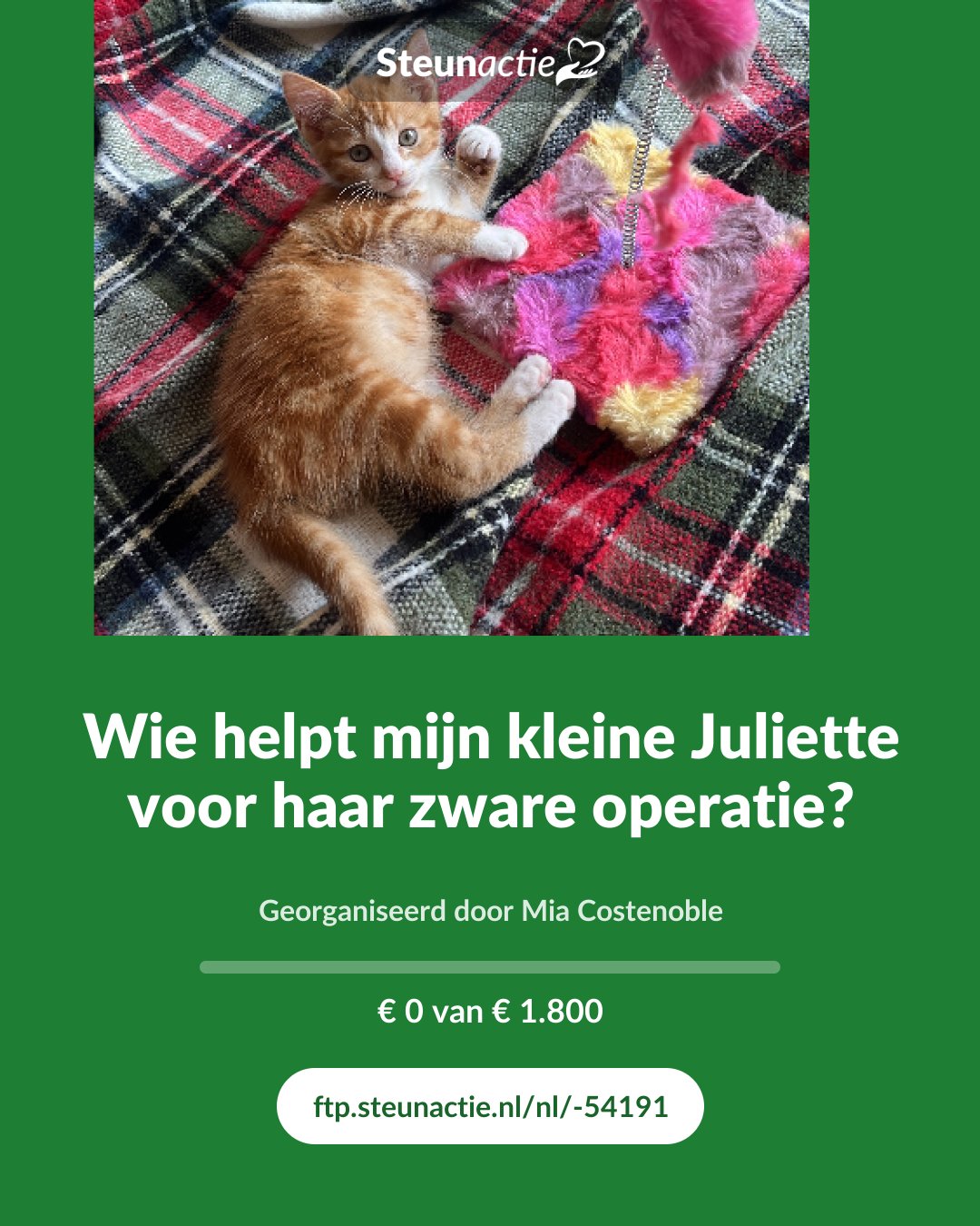 Voorbeeld van de afbeelding