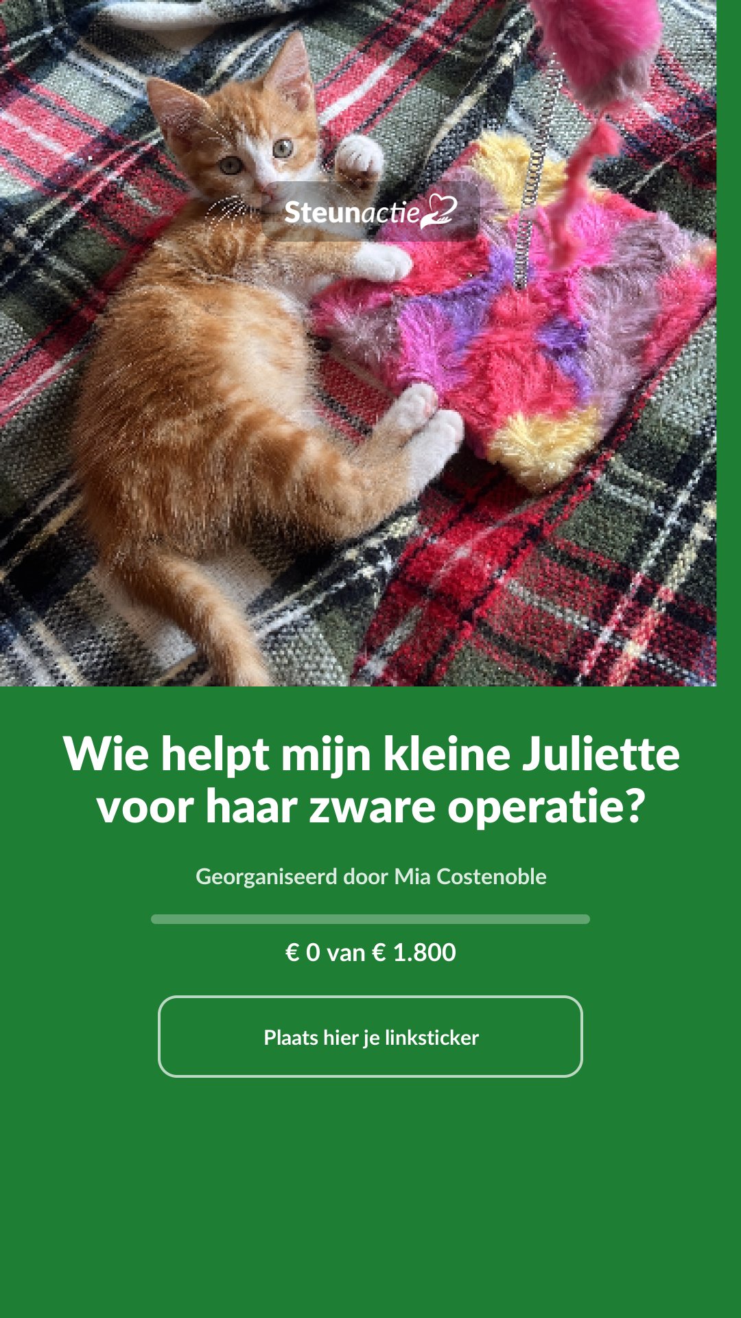 Voorbeeld van de afbeelding