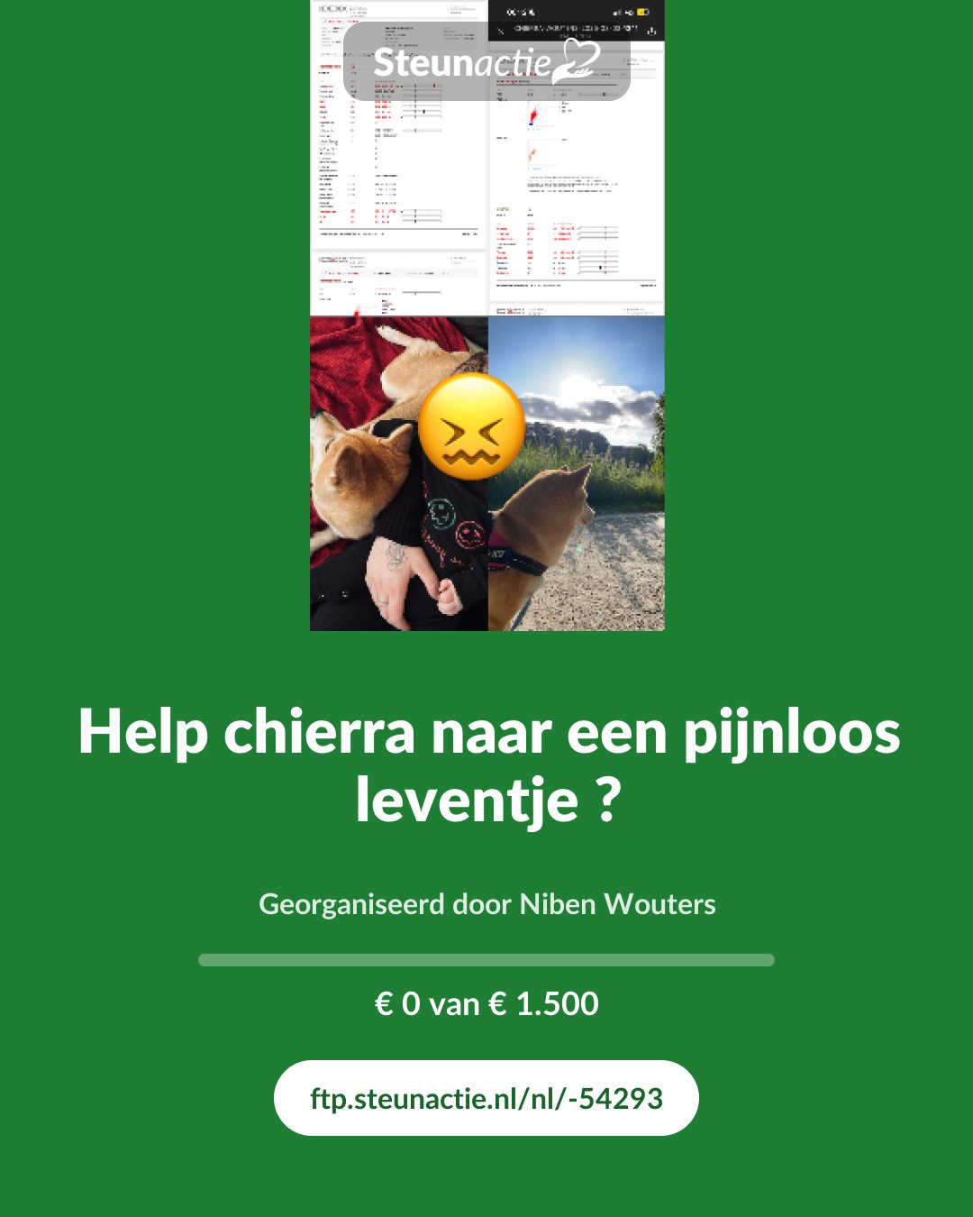Voorbeeld van de afbeelding