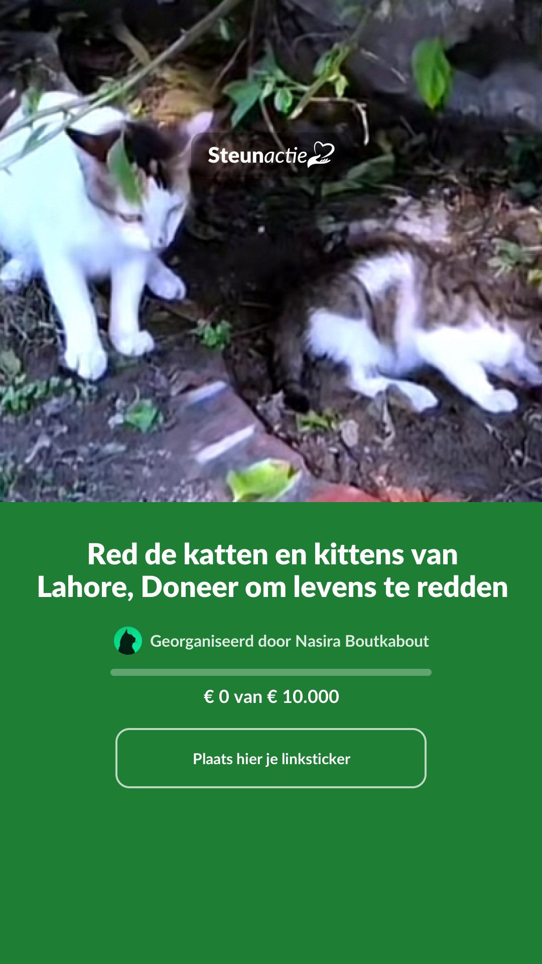 Voorbeeld van de afbeelding