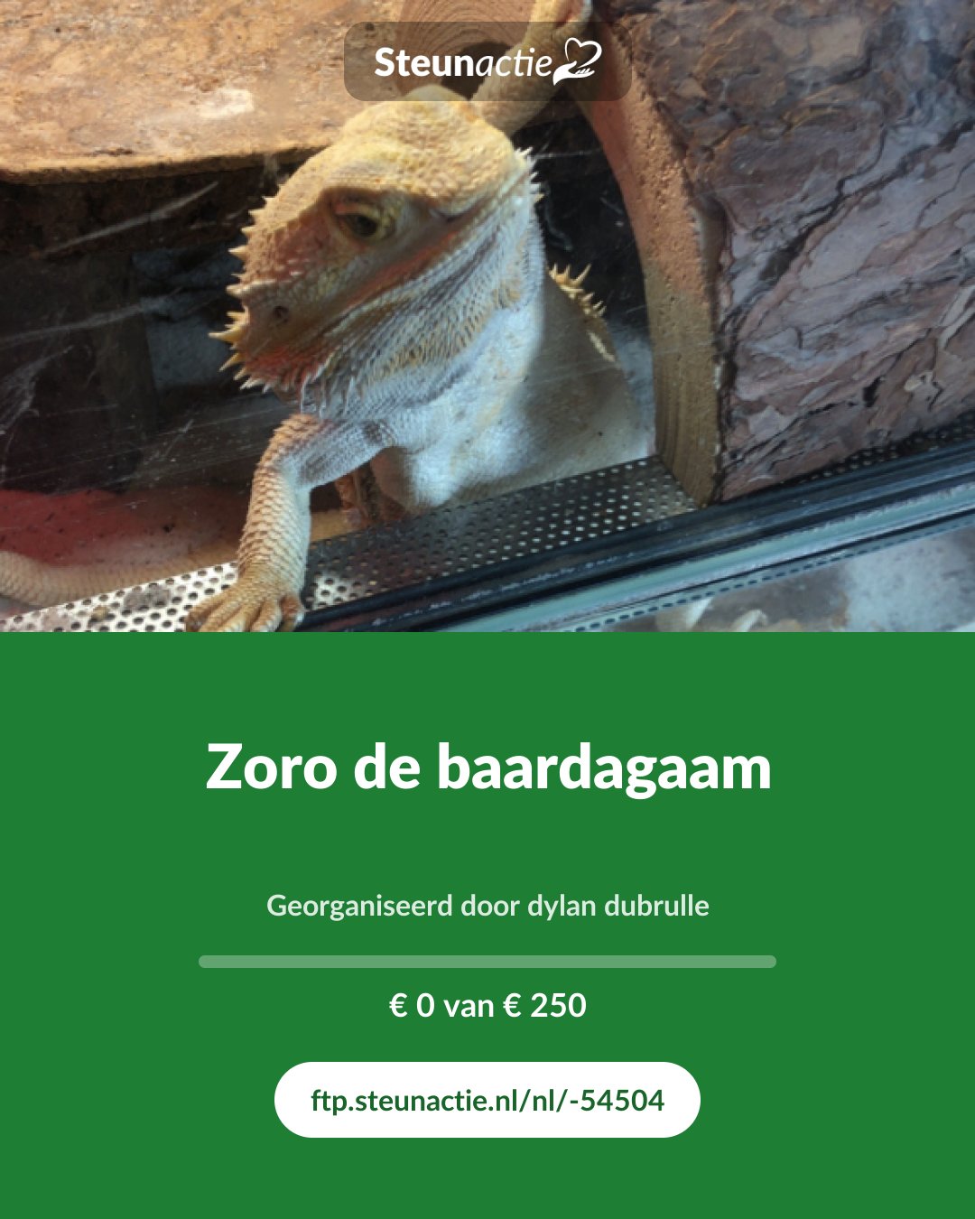 Voorbeeld van de afbeelding