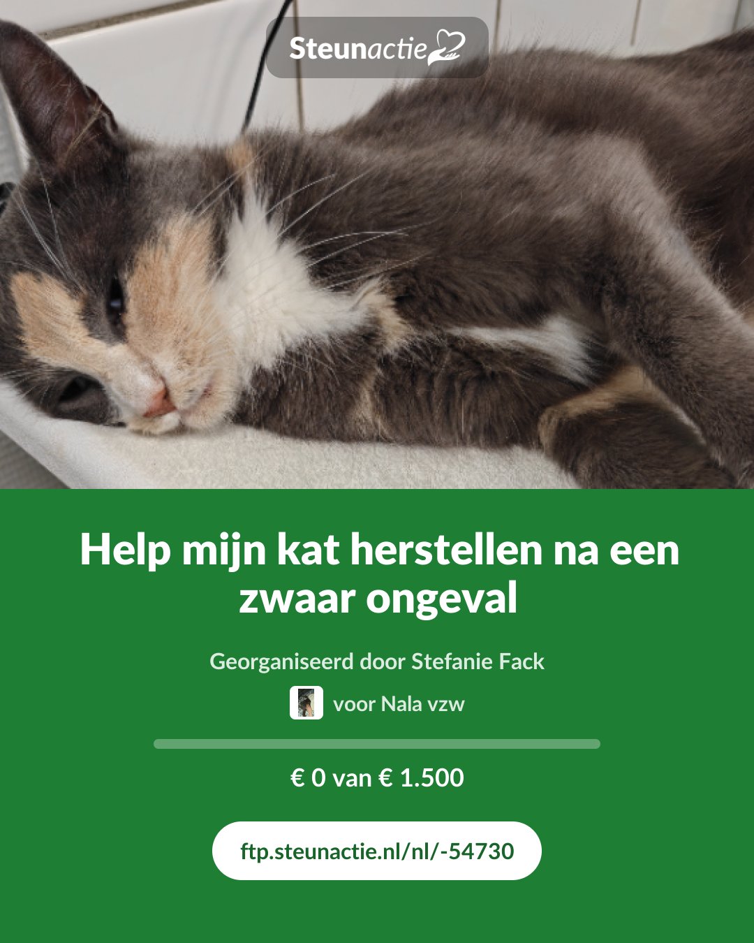 Voorbeeld van de afbeelding