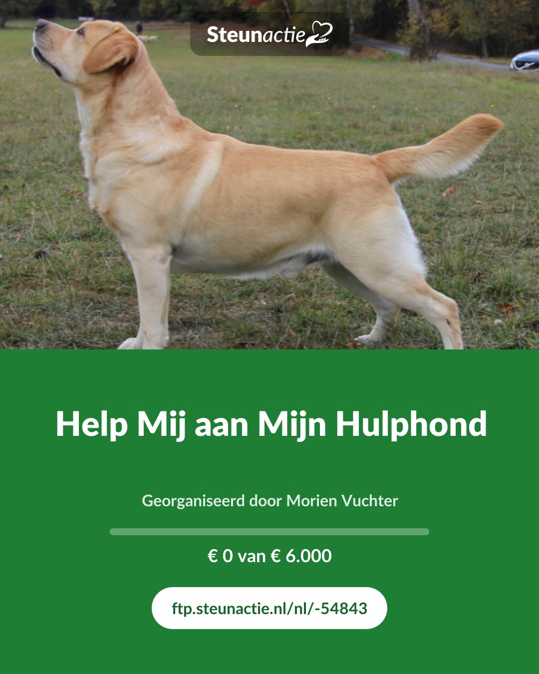 Voorbeeld van de afbeelding