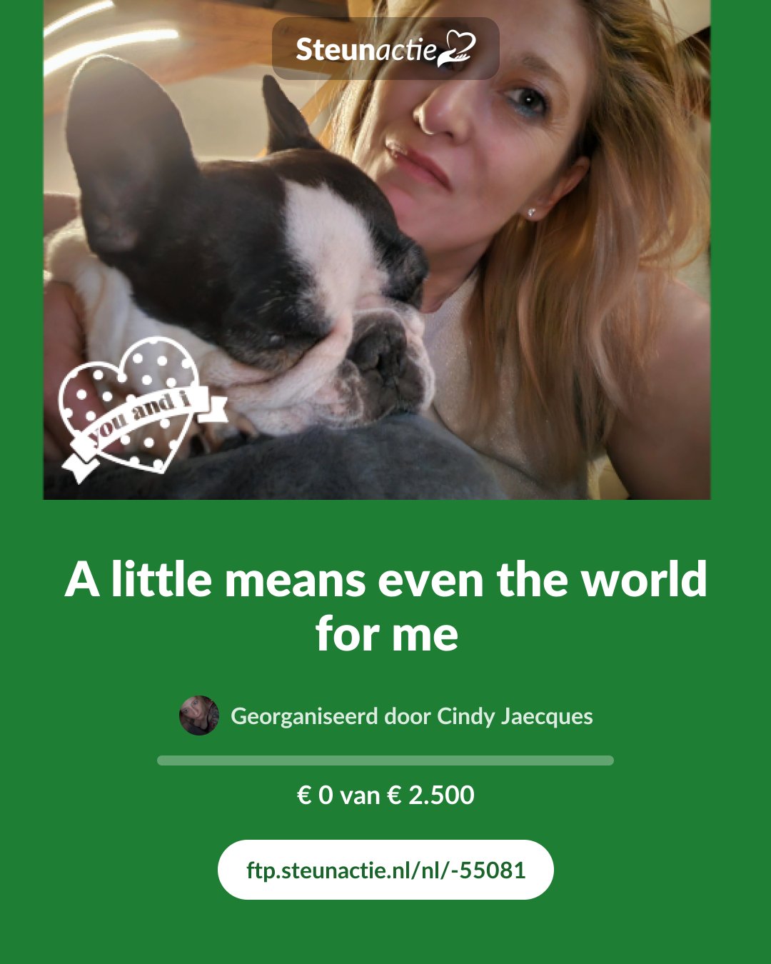 Voorbeeld van de afbeelding
