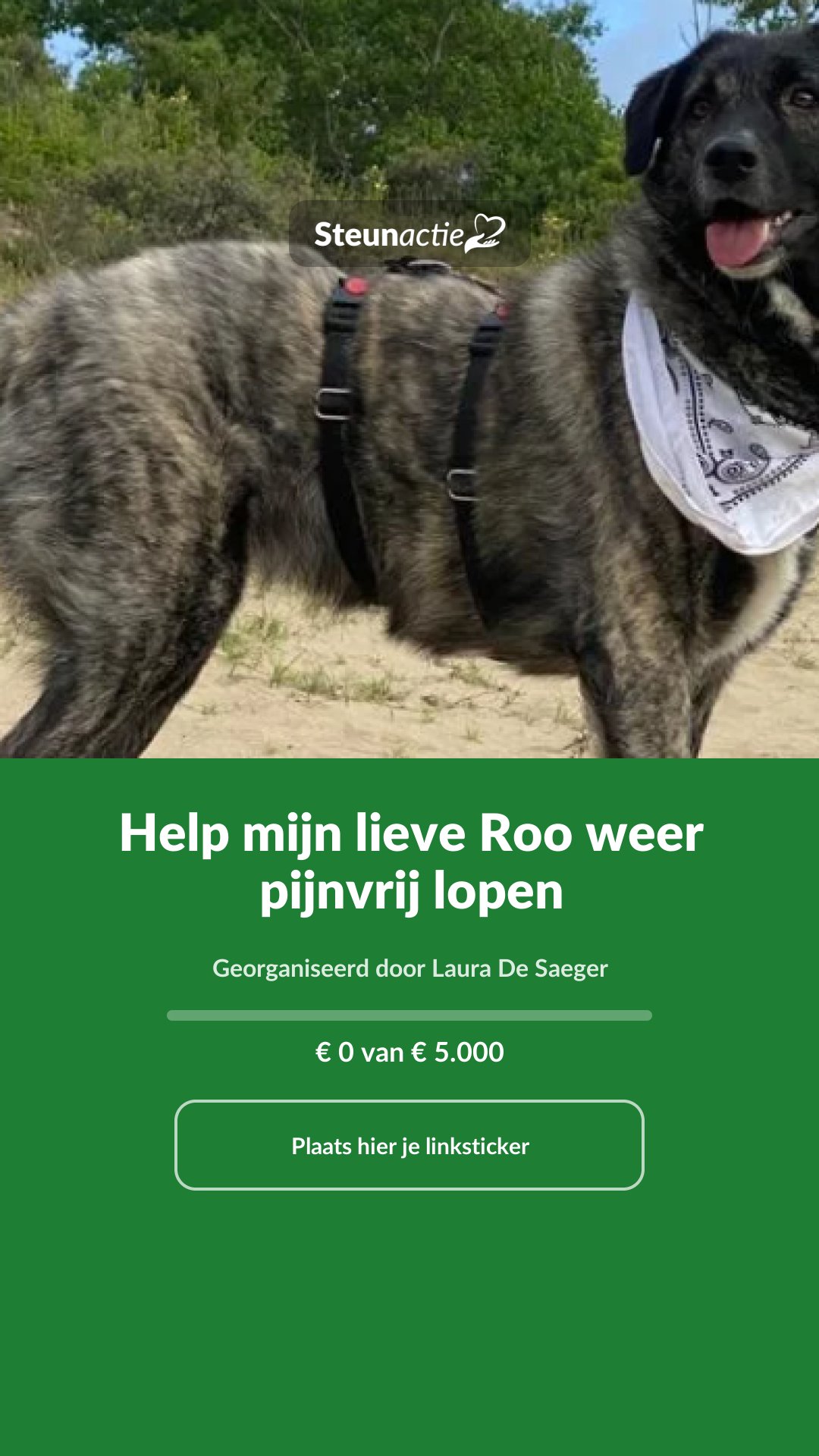 Voorbeeld van de afbeelding