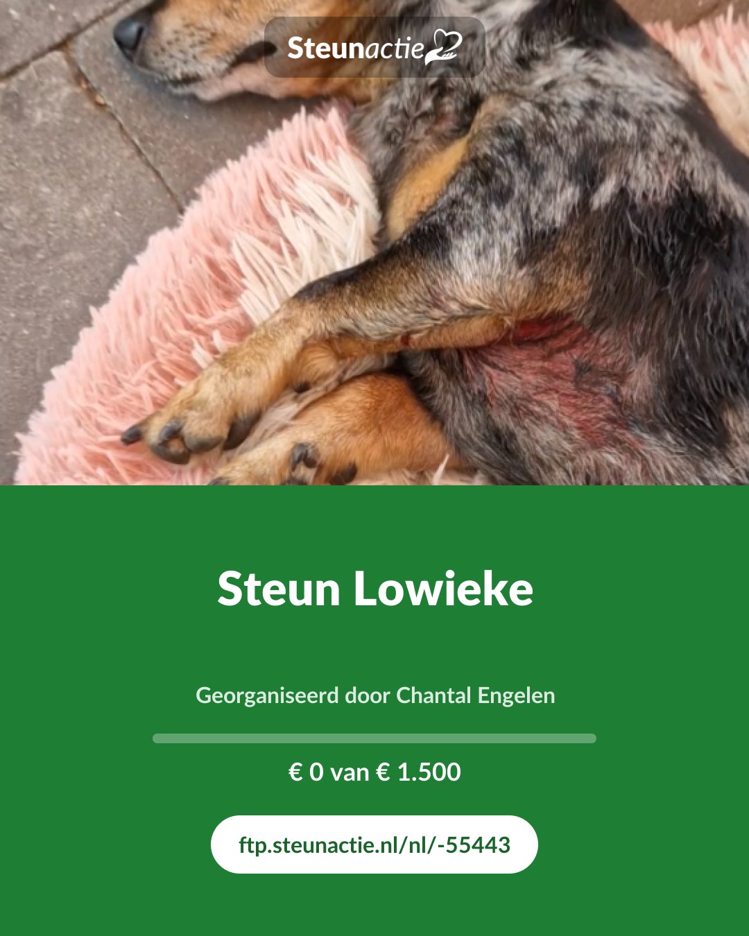 Voorbeeld van de afbeelding