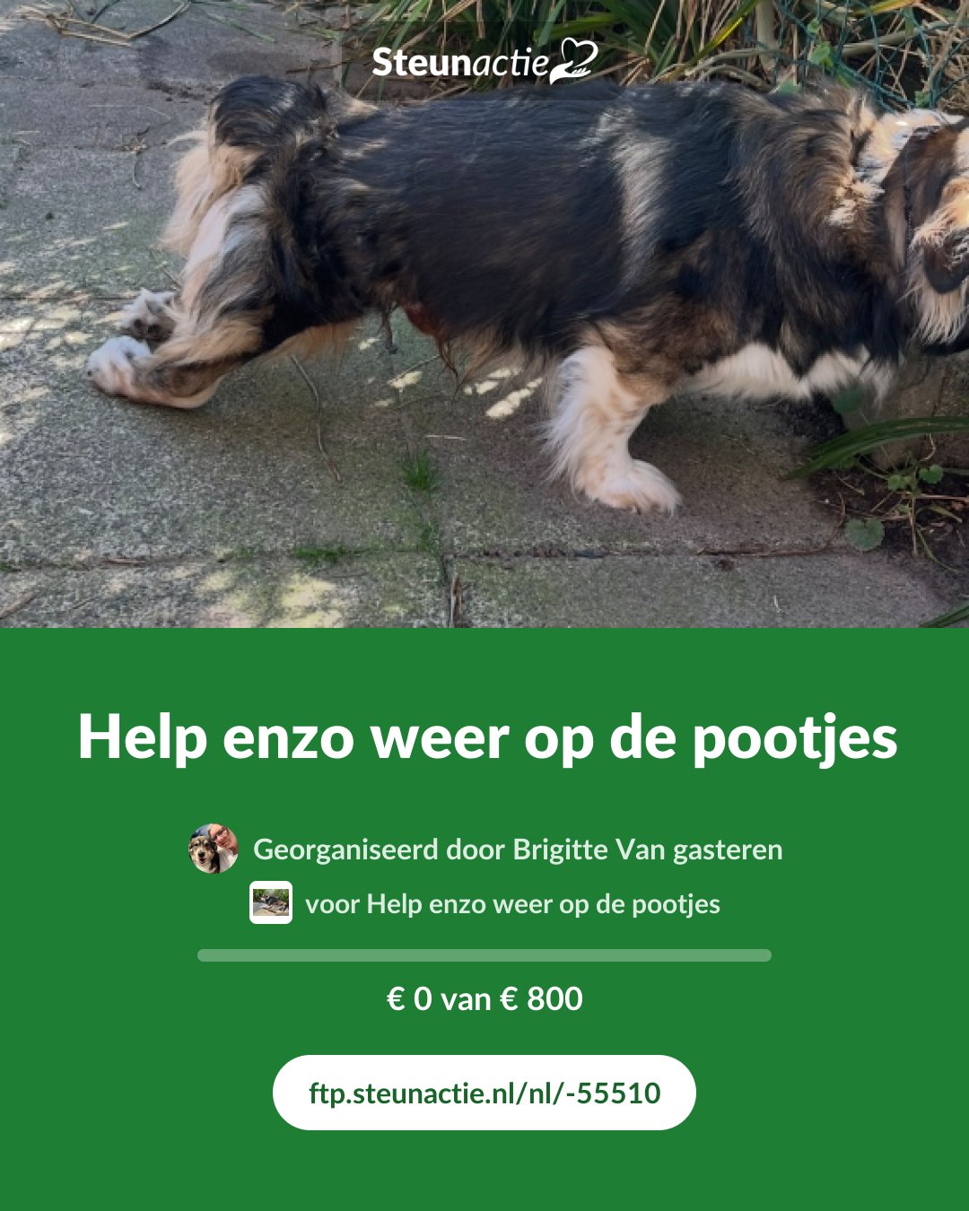 Voorbeeld van de afbeelding