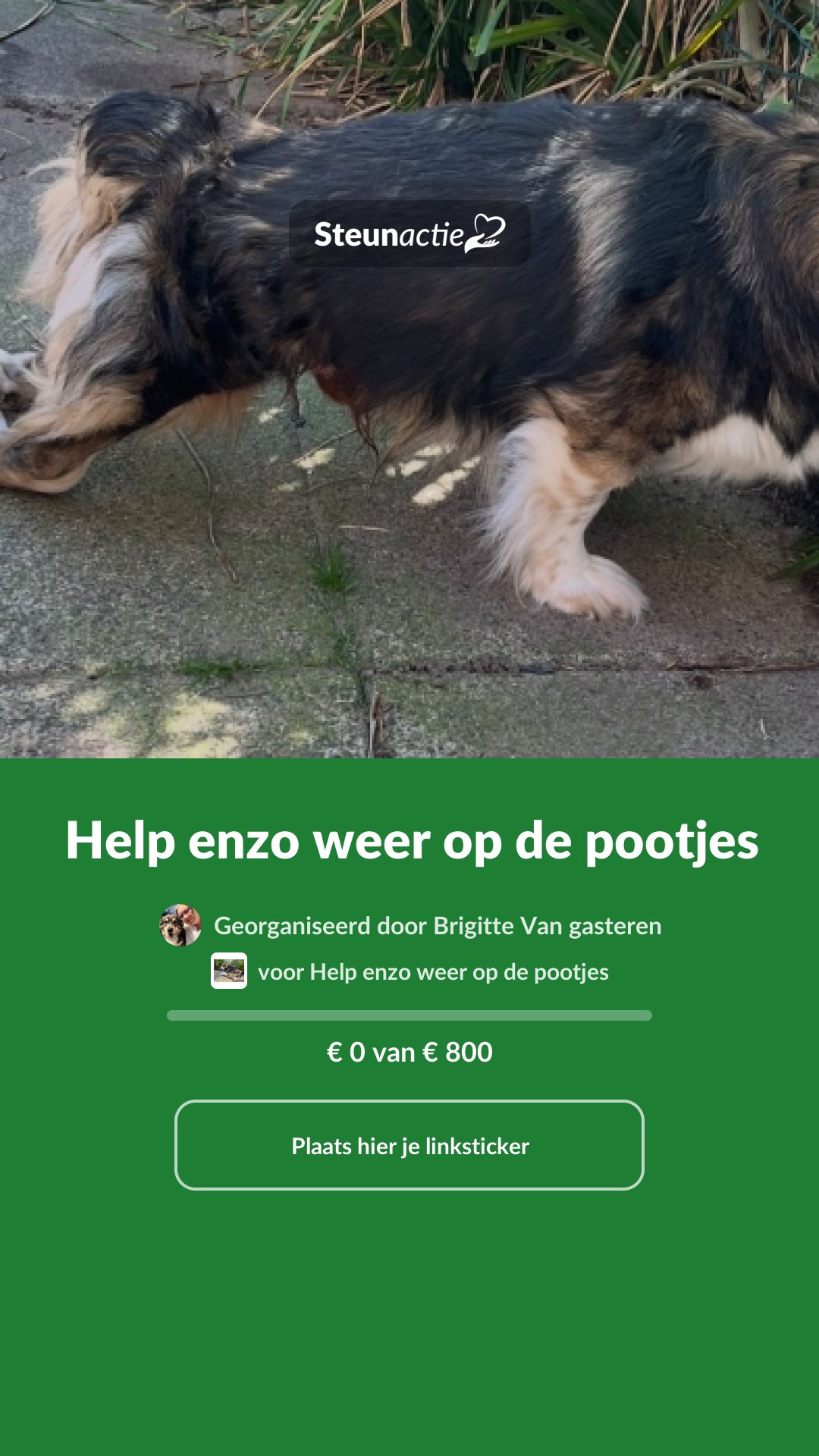 Voorbeeld van de afbeelding