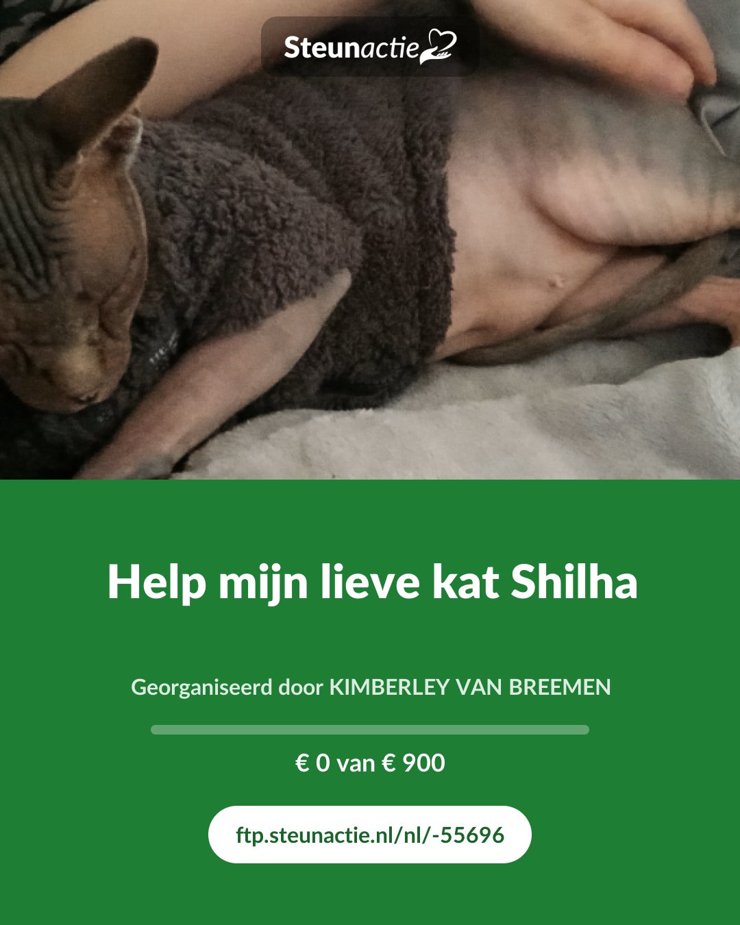 Voorbeeld van de afbeelding