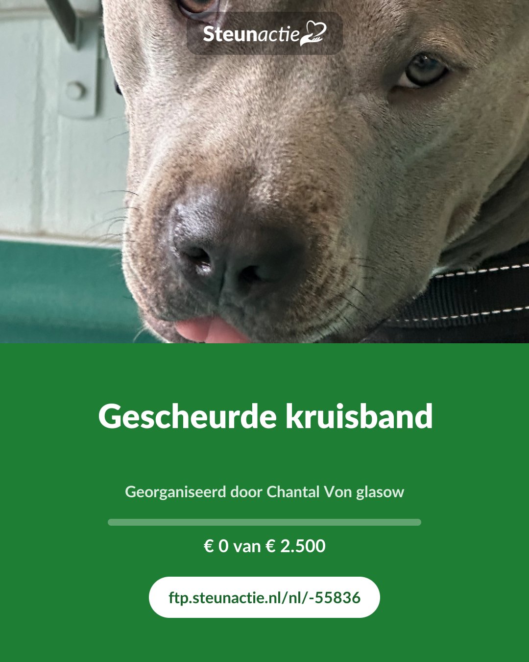 Voorbeeld van de afbeelding