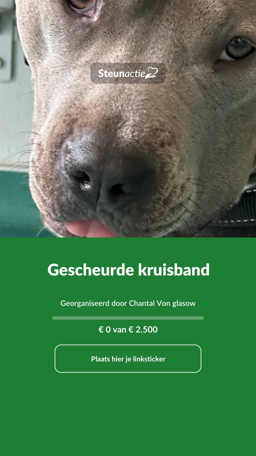 Voorbeeld van de afbeelding