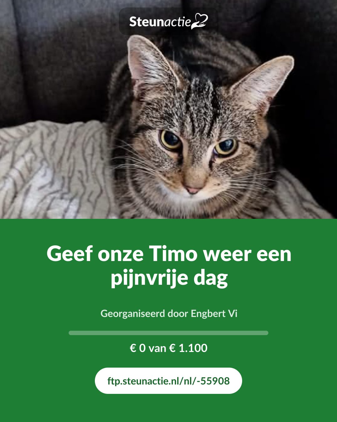 Voorbeeld van de afbeelding