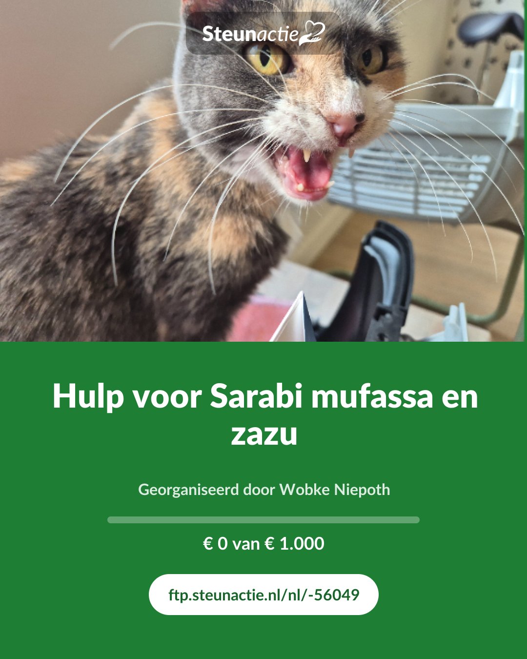 Voorbeeld van de afbeelding