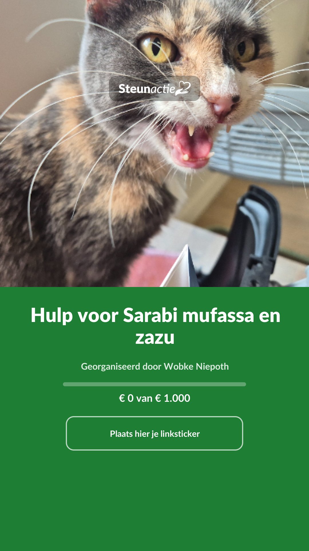 Voorbeeld van de afbeelding