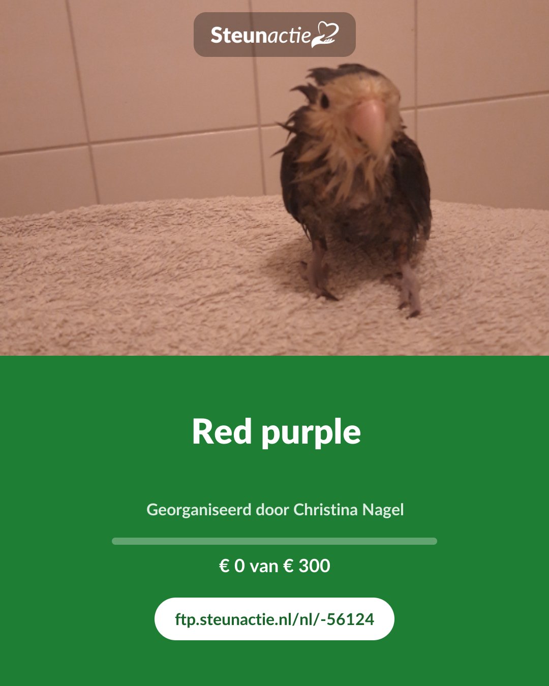 Voorbeeld van de afbeelding