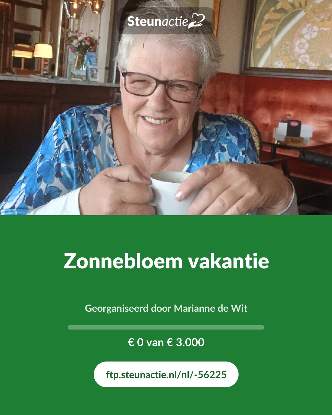 Voorbeeld van de afbeelding