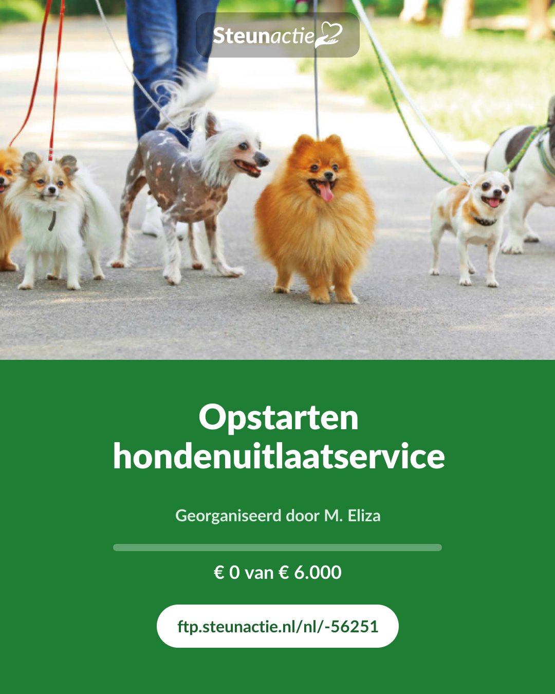 Voorbeeld van de afbeelding