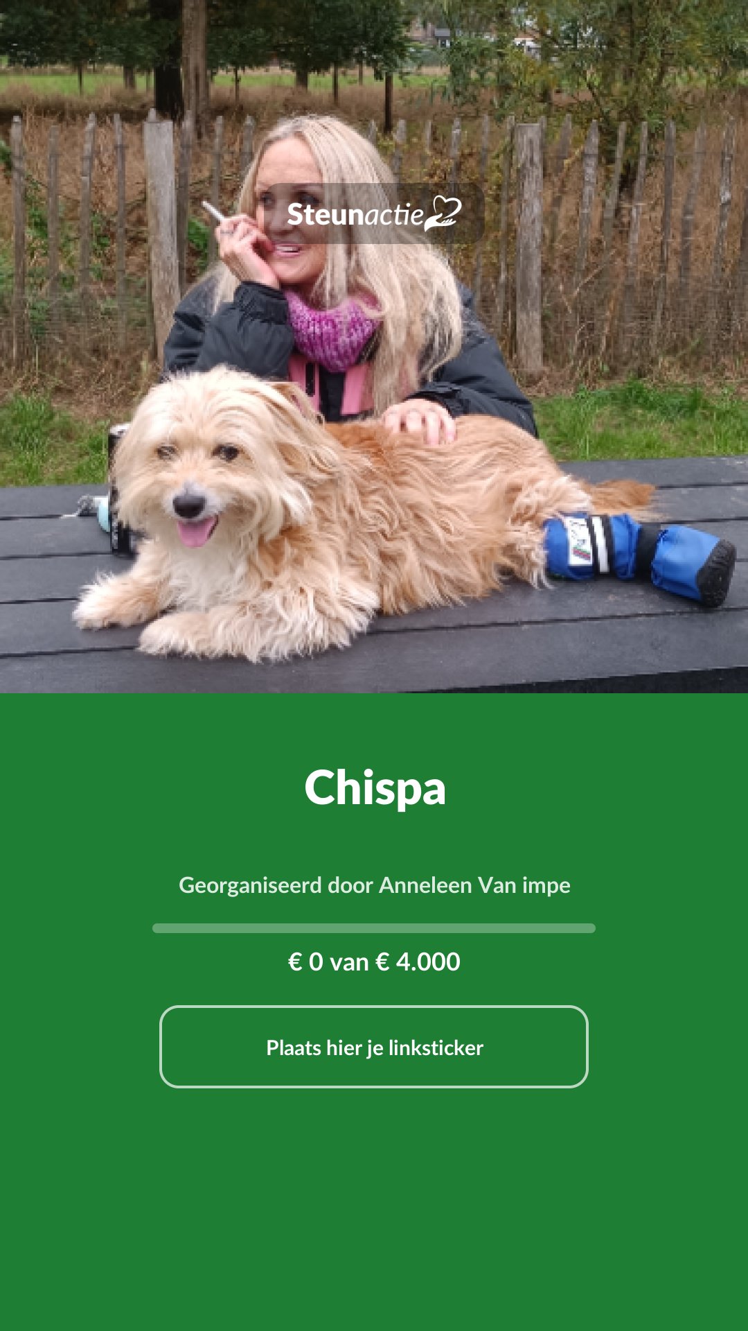 Voorbeeld van de afbeelding