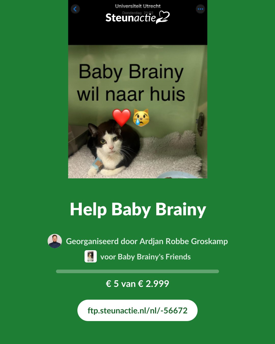 Voorbeeld van de afbeelding