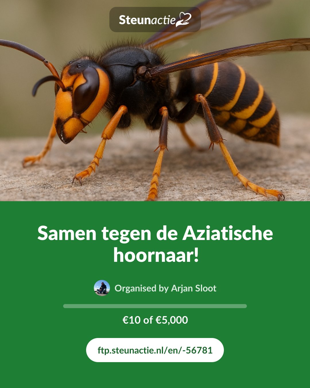 Preview of the image