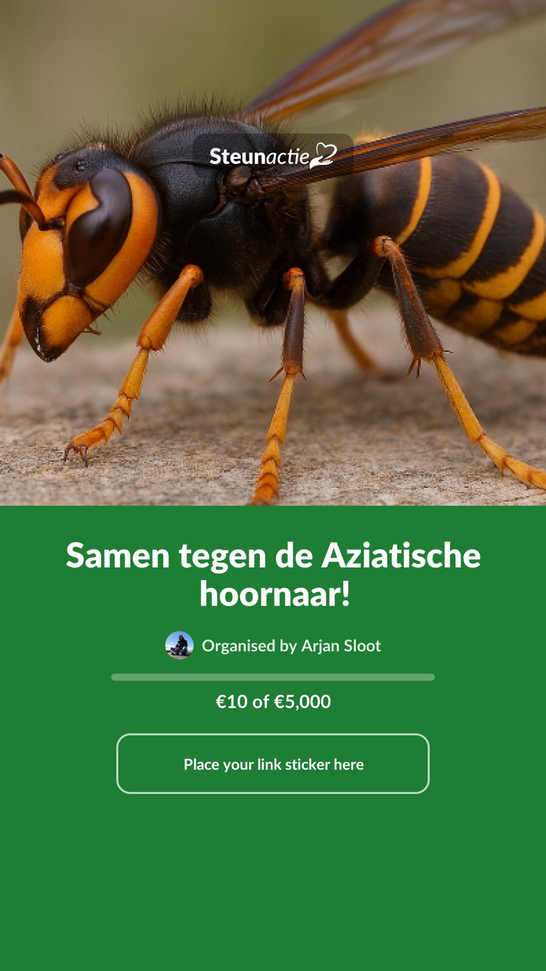 Preview of the image