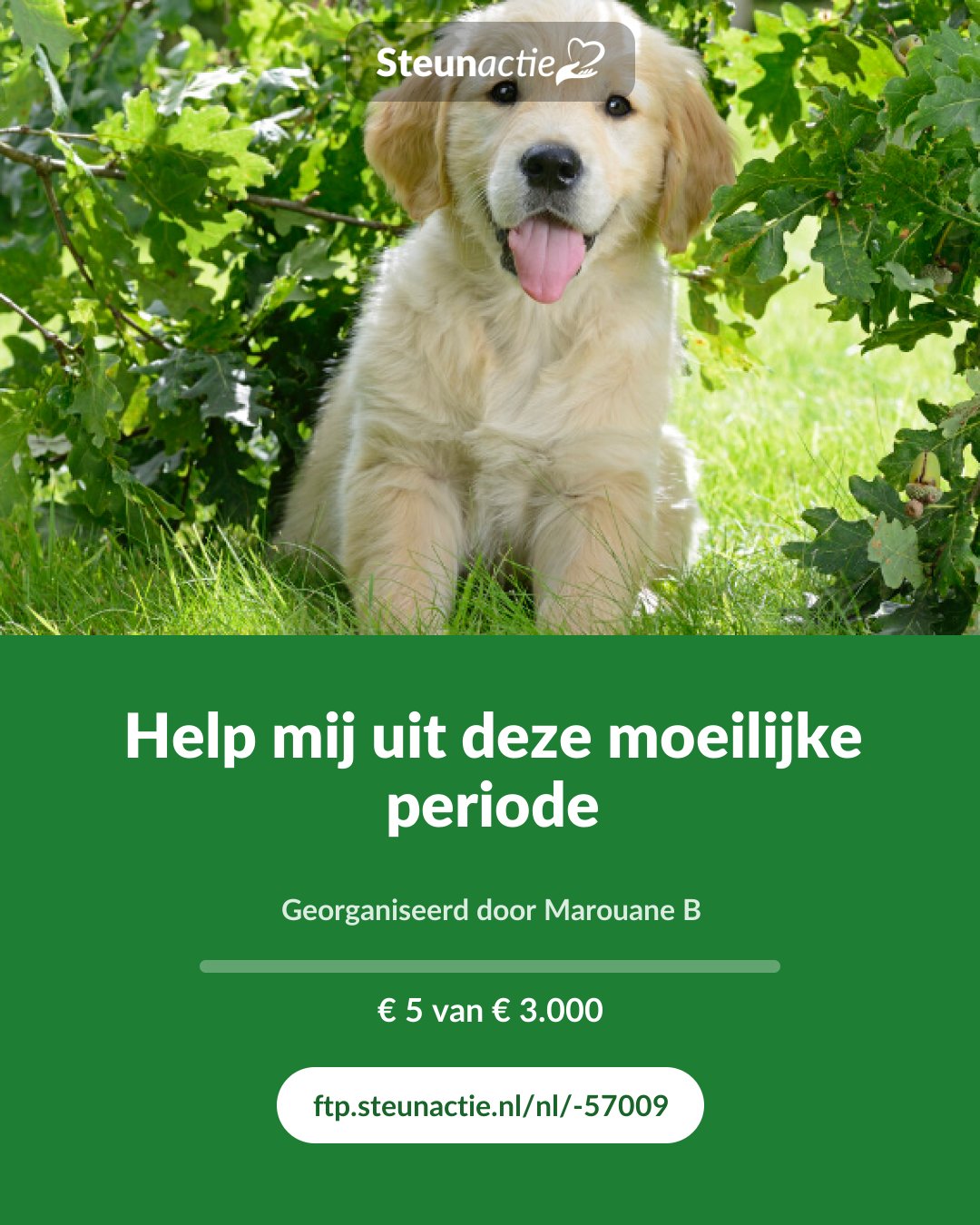 Voorbeeld van de afbeelding