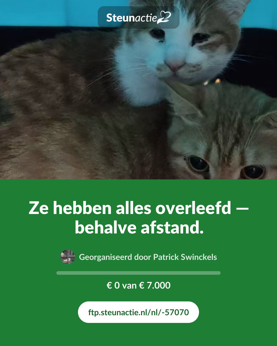 Voorbeeld van de afbeelding