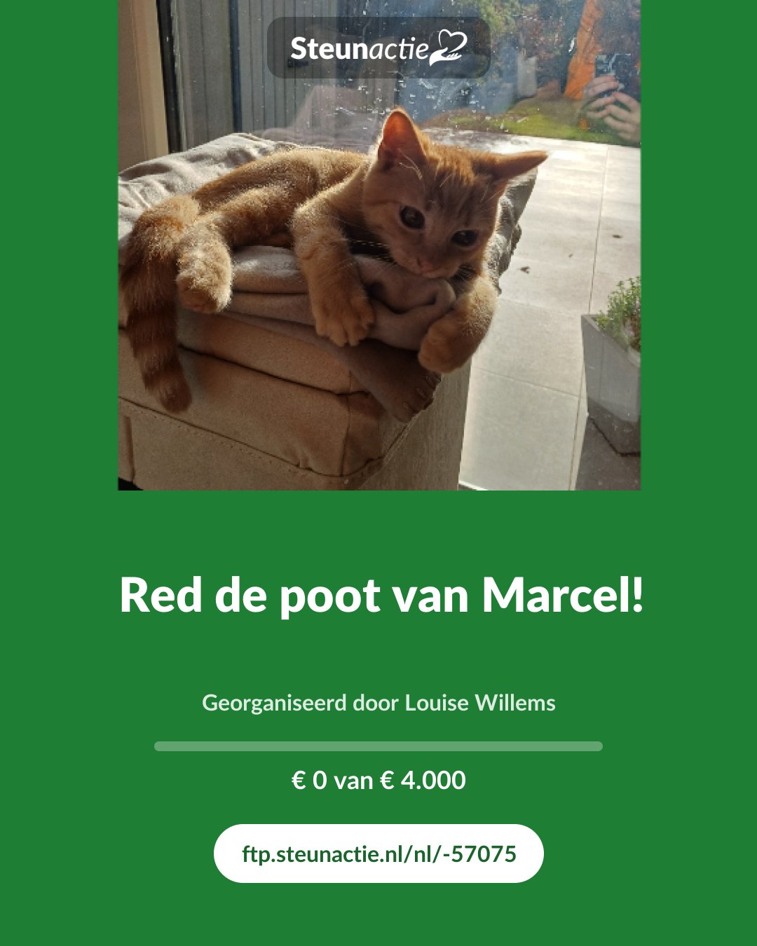 Voorbeeld van de afbeelding
