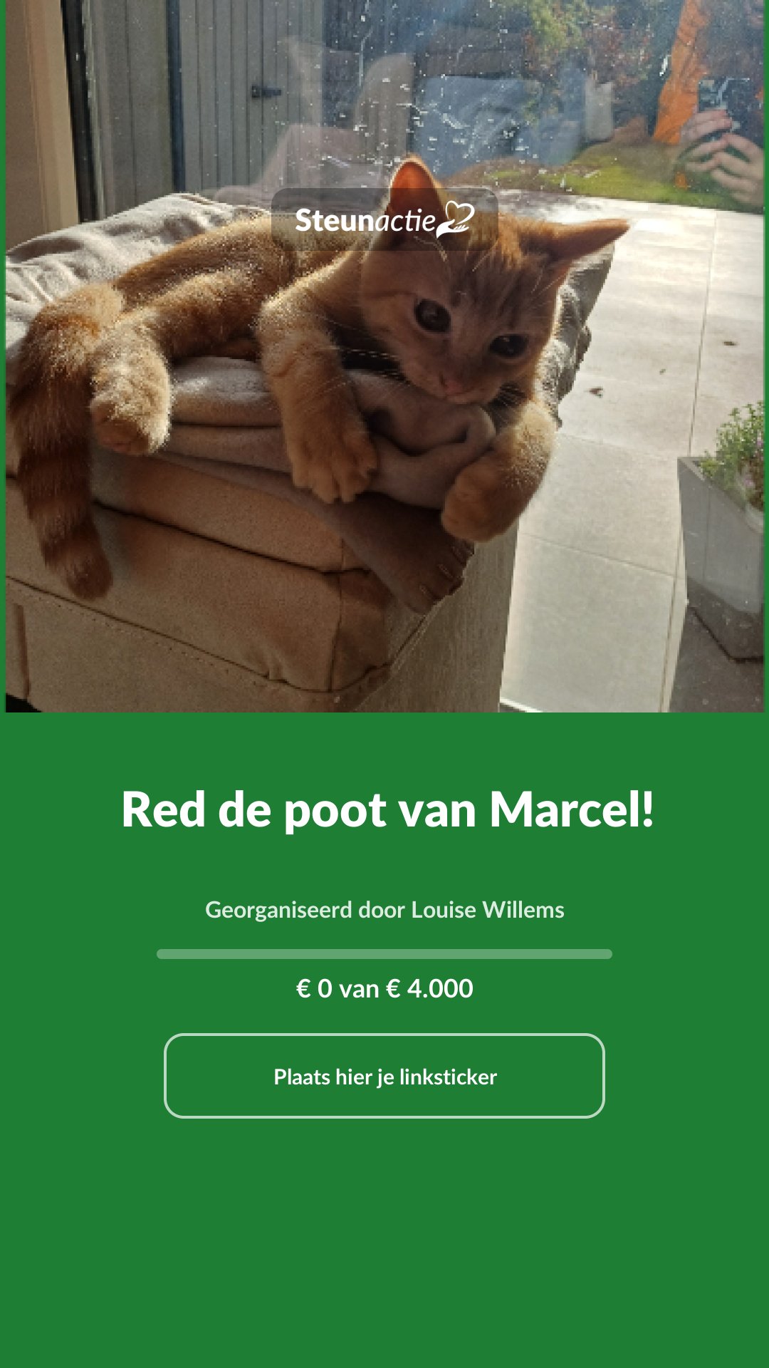Voorbeeld van de afbeelding