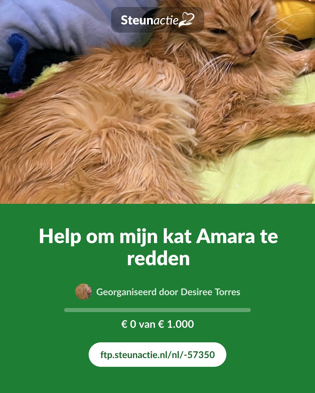 Voorbeeld van de afbeelding