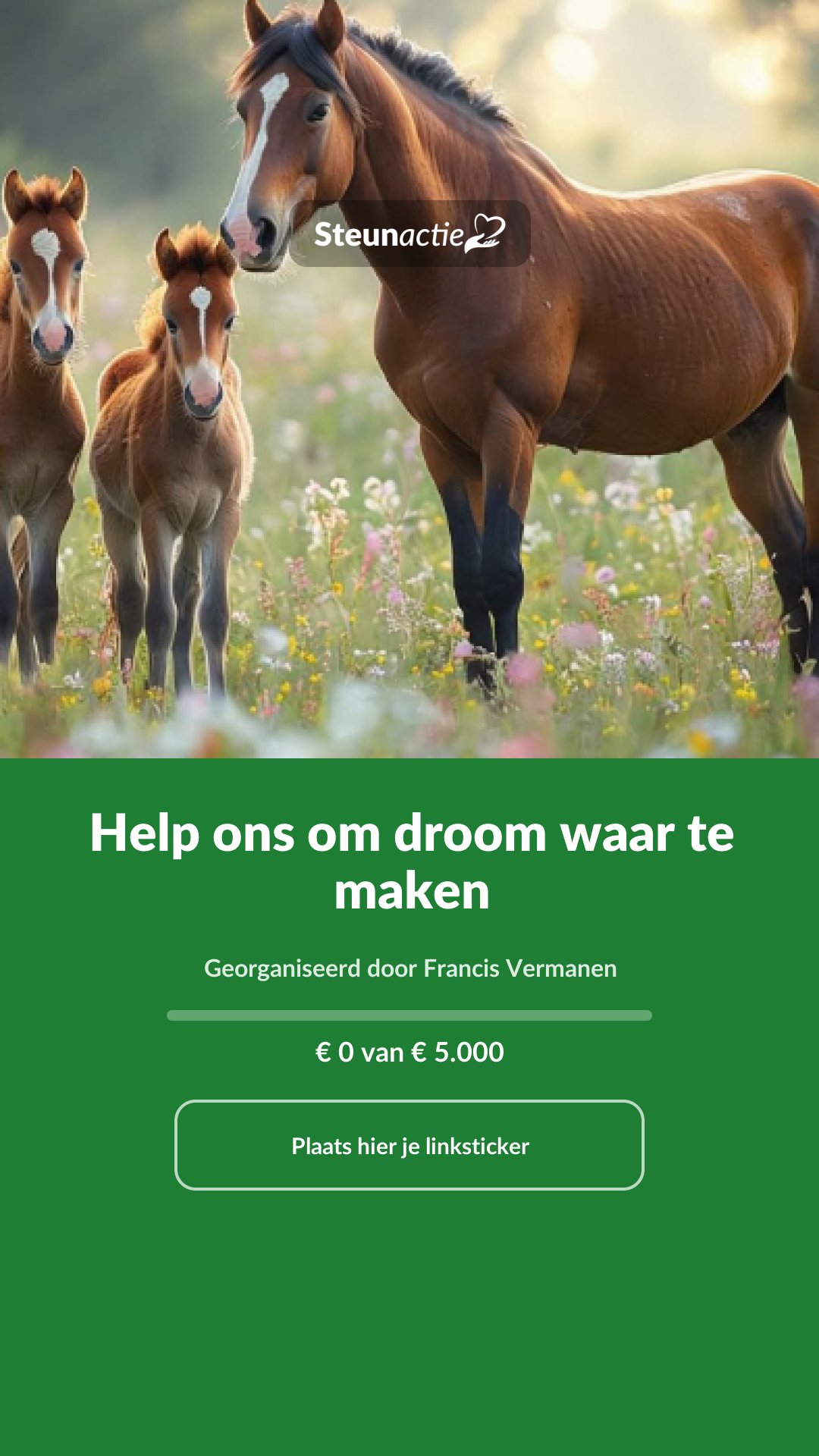 Voorbeeld van de afbeelding
