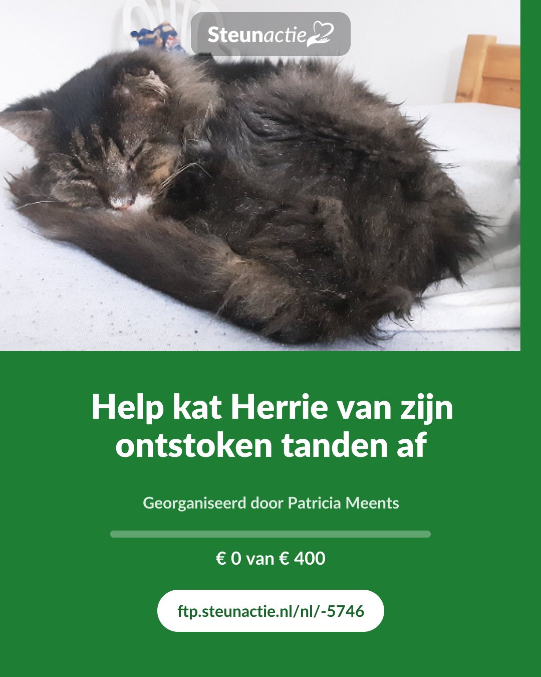 Voorbeeld van de afbeelding